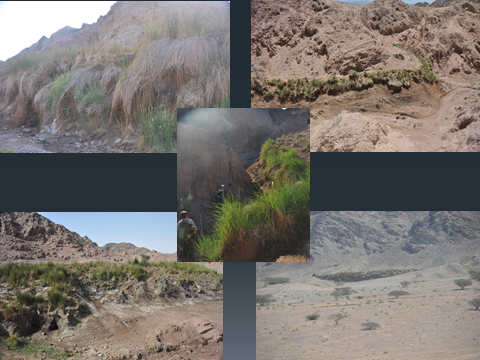 Views of the various springs located in the mountains surrounding Wadi Fidan 61